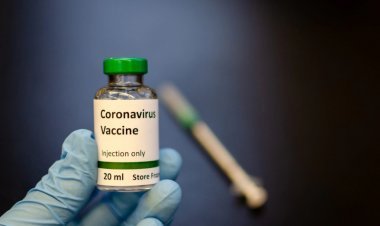 Vaccine Expected Early Next Year, From More Than One Source: Minister