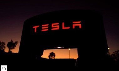 Tesla Being Courted To Invest By Multiple States In India