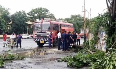 तेज़ हवाओं के साथ हुई बारिश से शहर के गेंडा सर्कल पर पेड़ धराशाई....