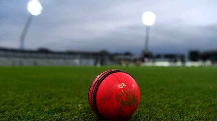 तो क्या भारत एक और डे-नाइट पिंक बोल टेस्ट मैच खेलेगा?