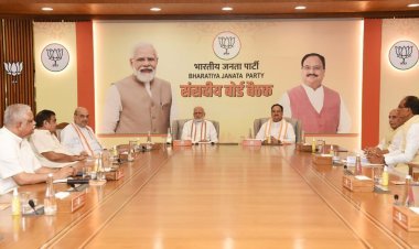 BIG News;भाजपा  के उम्मीदवारों की पहली सूची किसी भी वक्त हो सकती है घोषित जानिए कितने उम्मीदवारों के नाम पर लगेगी अंतिम मुहर