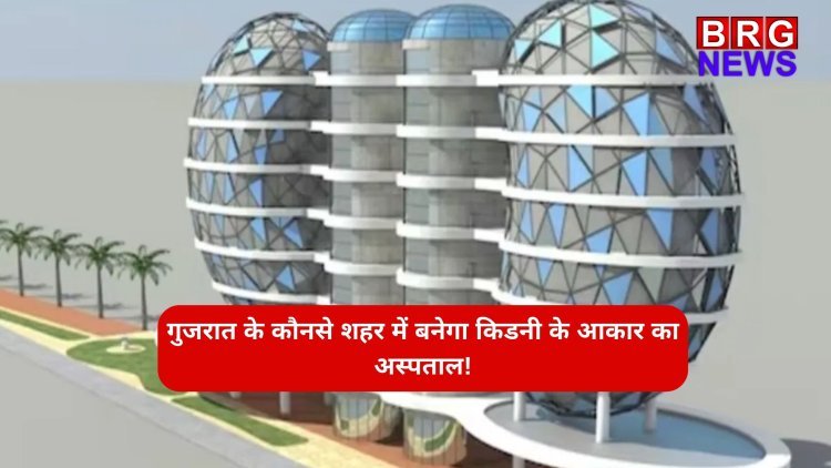 गुजरात के कौनसे शहर में बनेगा किडनी के आकार का अस्पताल!