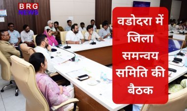 वडोदरा में जिला समन्वय समिति की बैठक, कलेक्टर ने लोक समस्याओं के समाधान के दिए निर्देश