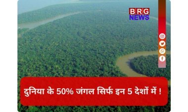 क्या आप जानते हैं कि दुनिया के 50% से ज्यादा जंगल केवल 5 देशों में सिमटे हैं ?
