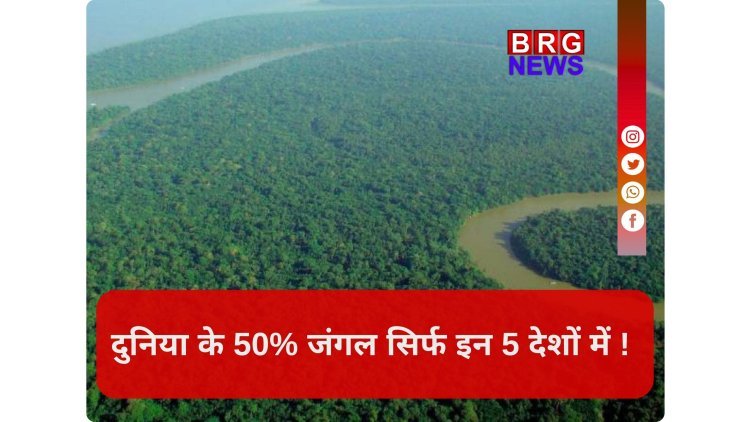 क्या आप जानते हैं कि दुनिया के 50% से ज्यादा जंगल केवल 5 देशों में सिमटे हैं ?