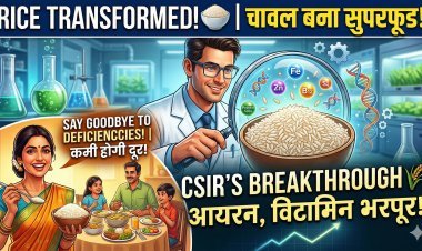 आयरन और विटामिन की कमी होगी दूर, वैज्ञानिकों ने तैयार किया सेहत वाला 'सुपर राइस' !