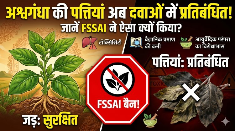 अश्वगंधा की पत्तियों पर बैन! क्यों डरा हुआ है FSSAI?