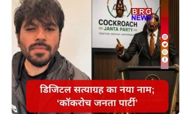 CJI के बयान के विरोध में बनी कॉकरोच जनता पार्टी:इंस्टाग्राम पर 6 दिन में 1.17 करोड़ फॉलोअर्स !