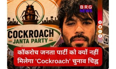 Cockroach Janta Party: क्यों नहीं मिलेगा CJP को 'कॉकरोच' चुनाव चिन्ह?
