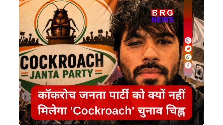 Cockroach Janta Party: क्यों नहीं मिलेगा CJP को 'कॉकरोच' चुनाव चिन्ह?