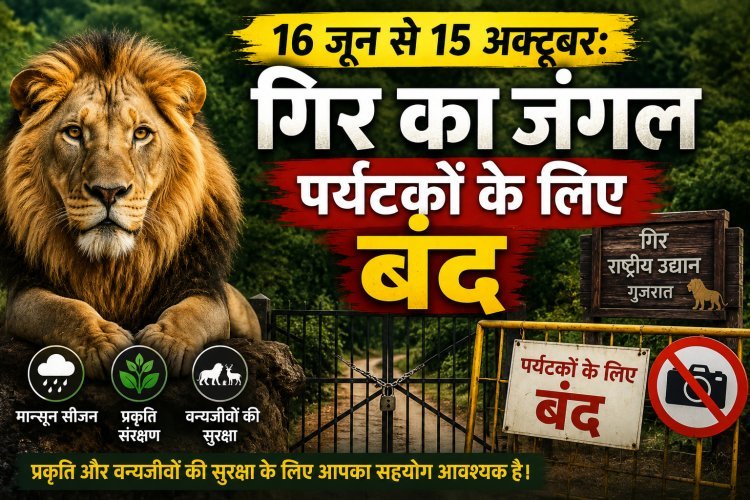 सासन गीर और गिरनार जंगल सफारी अगले 4 महीनों के लिए पूरी तरह बंद !