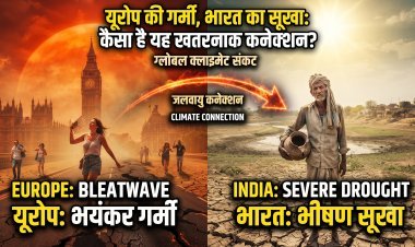 हीटवेव से सूखे तक—प्रकृति का यह 'कनेक्शन' हमें क्या सिखा रहा है?