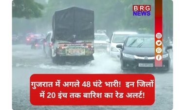 48 घंटे महा-अलर्ट! गुजरात के 8 जिलों में मूसलाधार बारिश की चेतावनी!