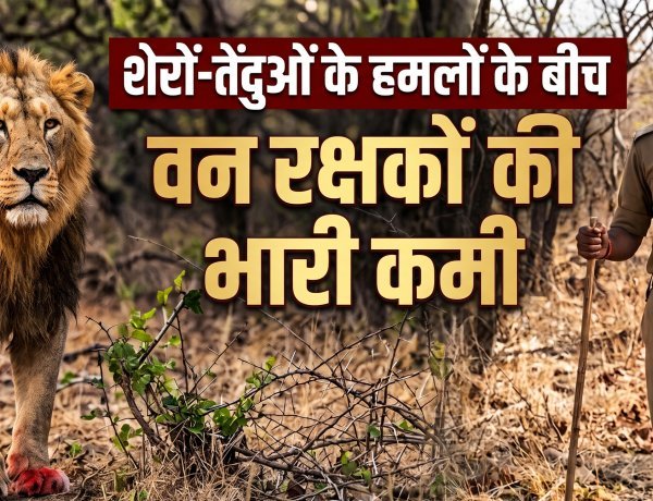 गुजरात: शेरों-तेंदुओं के हमलों के बीच वन रक्षकों की भारी कमी, वन मंत्री को भेजा गया पत्र