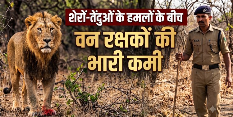 गुजरात: शेरों-तेंदुओं के हमलों के बीच वन रक्षकों की भारी कमी, वन मंत्री को भेजा गया पत्र