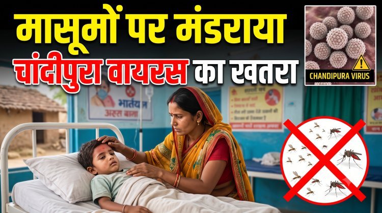 गुजरात में चांदीपुरा वायरस का कहर !