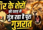 सिर्फ 12 से 891 तक ... जानिए एशियाई शेरों के संरक्षण की सबसे बड़ी 'सक्सेस स्टोरी'  !